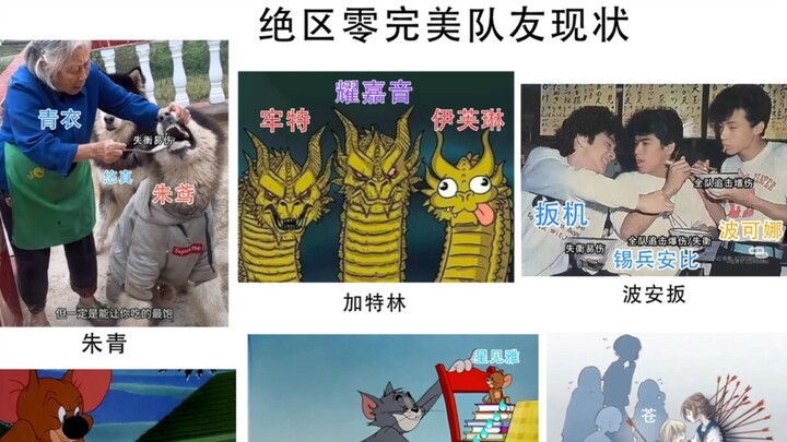 绝区零配对现状