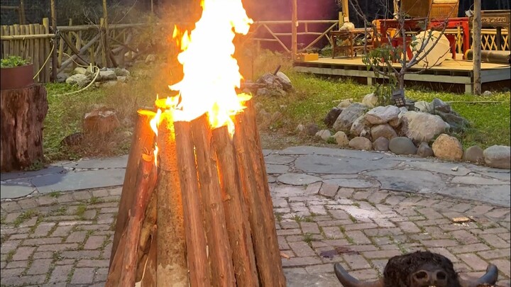 Score a massive yak head + hooves for just 200!