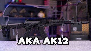 AKA AK12毕业版模型分享。