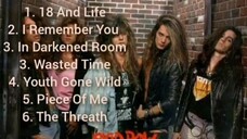 Skid Row/Top 5 Hits Songs Playlist HD