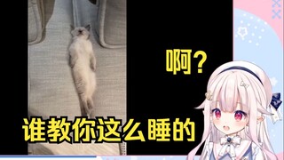日本萝莉看《谁教你这么睡觉的？》直接难绷