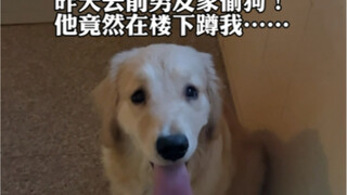 We can break up, but you have to give me custody of the dog!!