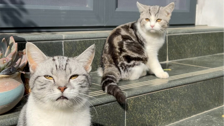 يُقال إن حساء عصيدة من حبوب الصابون وسن الثلج وصمغ الخوخ مفيد للبشرة. اليوم، قام زوجي بتقشيرها لمدة 