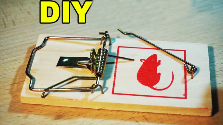 How to make a mini mouse trap