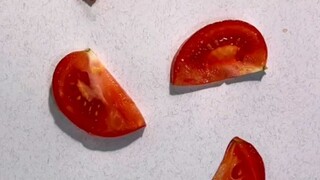 Tidak percaya kali ini kamu masih bisa menebak dengan benar