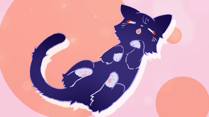 Daily life with scattered cats