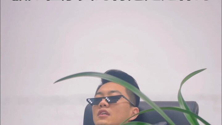 Kalau gaji para programmer seperti ini…