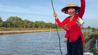 Câu CÁ NÂU nấu canh chua, kho lạt ăn bữa cơm tạm biệt cháu Tưởng về Sài Gòn| ÁNH KUA