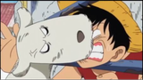 Luffy học đòi trêu chó và
