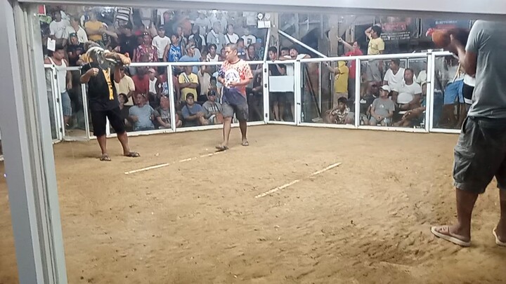2hits ulutan po...champion