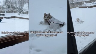 A dog was left outside on a snowy day and was abused by a neighbor. This is a big misunderstanding.