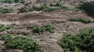Ultraman Omega Episode 13