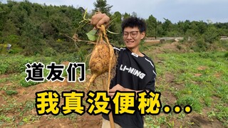 原来你也修仙啊？第十九回：误食释迦馍，炼药排浊气！