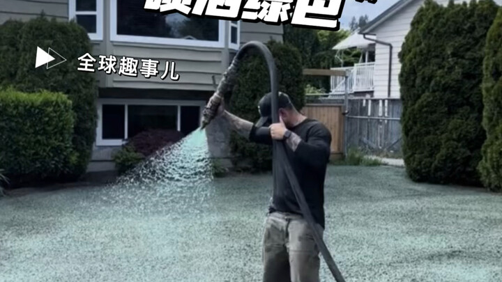 “Menyemprotkan hijau” di depan pintu rumah? Cara baru menabur benih ini bikin kamu ngatur penghijaua