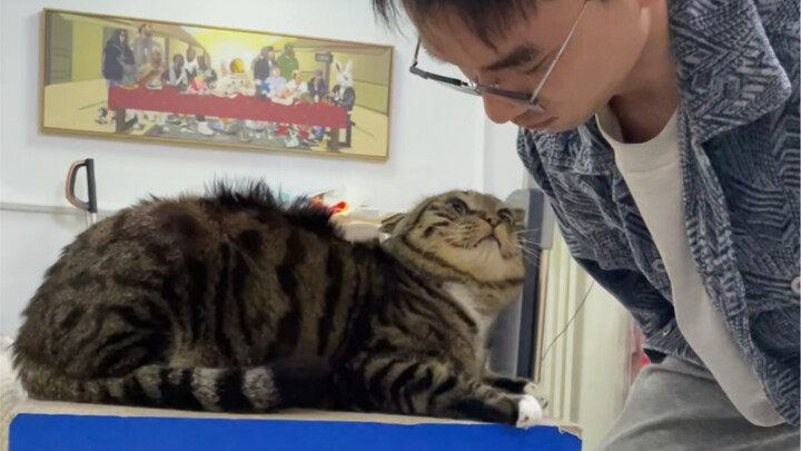 “Cat Owners’ Reaction” Stinky Juanbao: “Let me ask you something!”