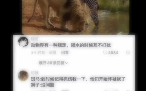 We’ll keep our distance and stay out of each other’s way.