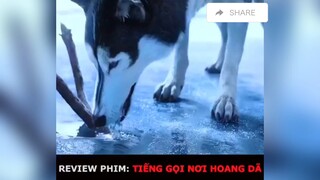 Rv phim: Tiếng gọi nơi hoang dã