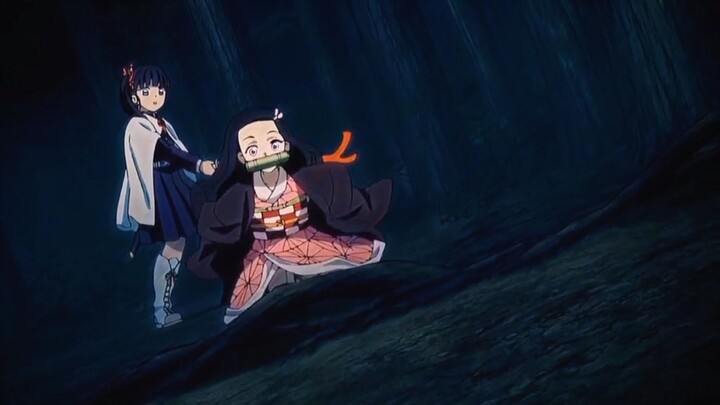 nezuko being cute