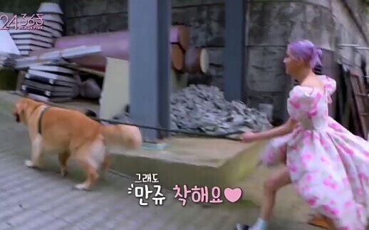 【24/365 with BLACKPINK】Rosé Being Walked by the Dog