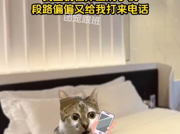 团宠跟班1+2合集
