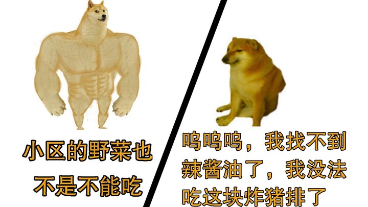 The changes in Shanghai residents over the past two days