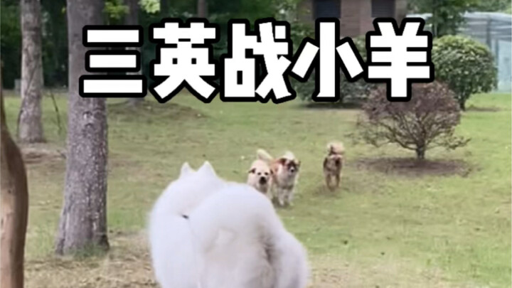 羊奉先大战刘关张！