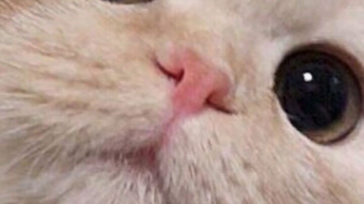 jdhhdhdhdhdhxhhdhsshhhdhhhhhhhhhhhhyhhhhhhhhhhhhhhhhhhhhhhhhhhhhhhdhhfhfhfhffhhdhdhdhdhfhdhfhfffhfhd