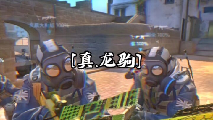 【CS:GO Seru-Seruan】Kuda Emas Asli Tak Seberapa Menarik Dibandingkan Senapan Sniper Naga Palsu?