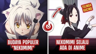 KENAPA SELALU ADA KARAKTER KUCING DALAM ANIME ???