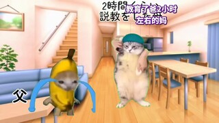 【熟肉】每天喝酒被骂的老爸 | 猫meme