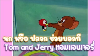 Tom and Jerry ทอมแอนเจอรี่ ตอน นก หรือ ปลวก ช่วยบอกที ✿ พากย์นรก ✿
