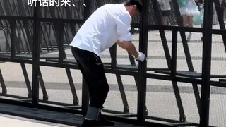 原来这就是黄牛票