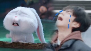 【考古】雪球兔老大，赵一博配音版(附彩蛋)