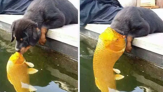 😂 สนุกกับช่วงเวลาที่ตลกและเต็มไปด้วยโคลนมากที่สุด P22