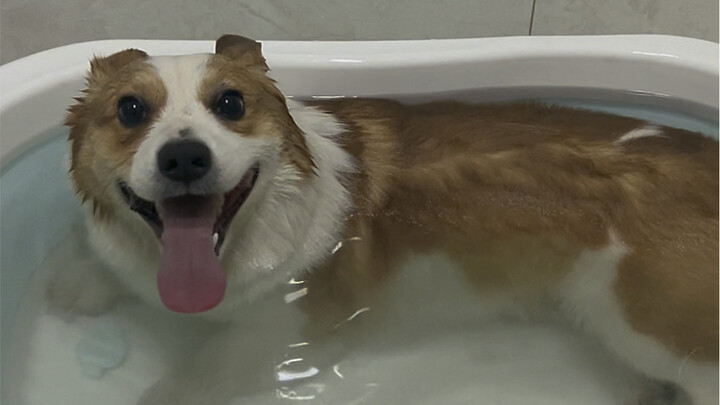 Mandi Pertama Setelah Tahun Baru