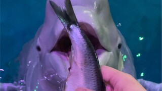 Makan dengan bahagia