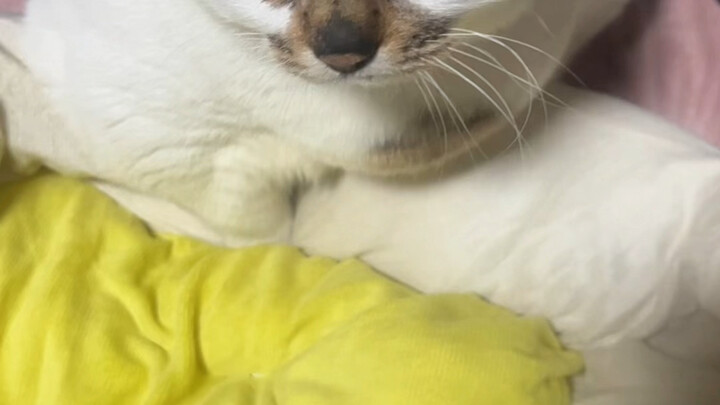 Harus ada kepercayaan dasar