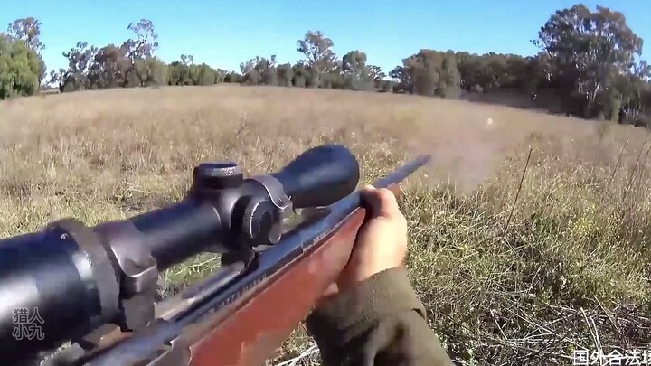 Let me take care of this wild boar—here’s to our friendship!