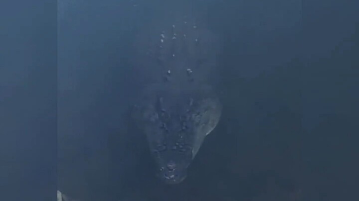 What should you do when you encounter this situation while fishing?