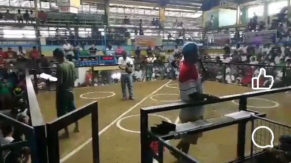 FATHER AND SON SANMAE GF