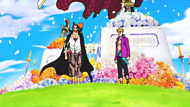 In “One Piece,” Marco likely won’t join any pirate crew again.
