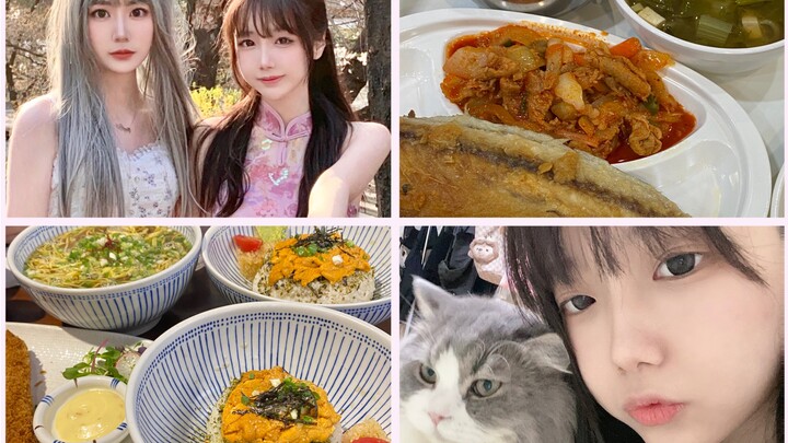 What Have I Been Randomly Eating in Korea? [baka’s Love] Study Abroad Vlog