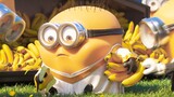 Minions love eating bananas too much. I laugh over and over again, haha!