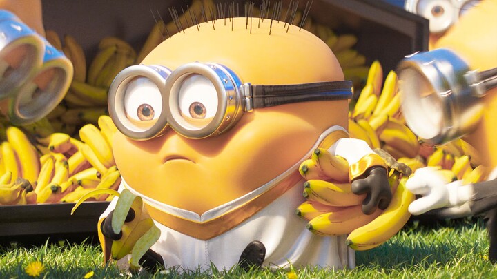 Minion terlalu suka makan pisang, aku tertawa berulang kali, haha!