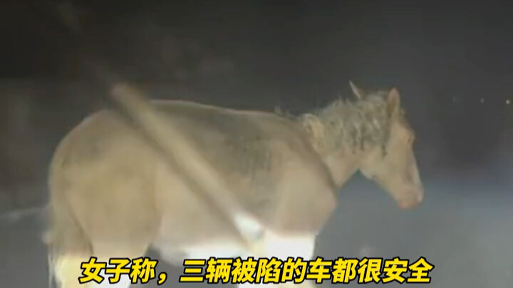 في ليلة ممطرة، قادت امرأة سيارتها في طريق جبلي فاعترضها حصان. بعد أن التفّت حوله، اكتشفت أن هناك انه