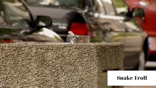 Chơi khăm với người lạ 74 #ranbiettroll