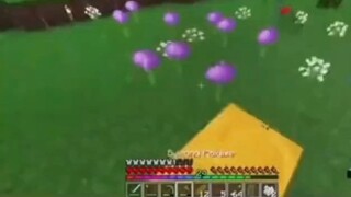 Minecraft: Mất Kiểm Soát