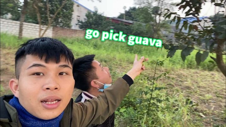 Going to pick guava by the shore with my brother