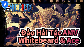 [Đảo Hải Tặc AMV] Trận đấu trong vinh dự vĩnh cửu Whitebeard & Ace_1
