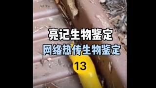 【Liangji Bio-Identification】Recently popular bio-identification on the Internet 13